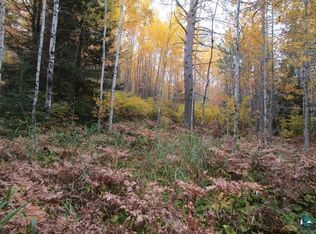 Raven Ln, Ely, MN 55731