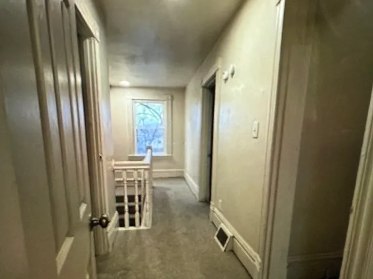 337 George St — Photo 4