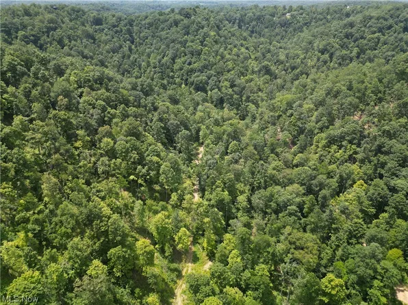 4101 Sand Ridge Rd, Arnoldsburg, WV 25234