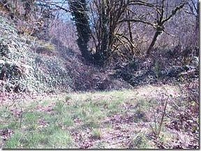 1st image of 905 Nestucca Ave