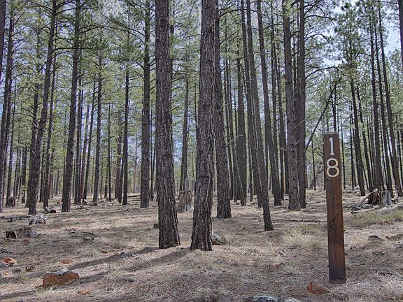 2nd image of 9575 Sierra Springs Dr