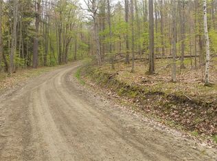 5450 Hathaway Hill Rd, Cameron, NY 14819