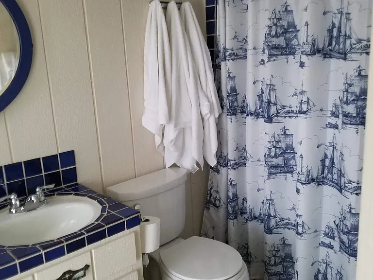 Full bathroom with shower near bonus room