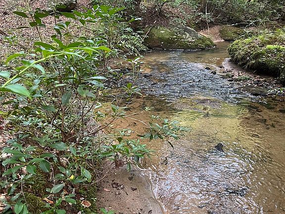 2nd image of 0 Hidden Lake Pkwy #32