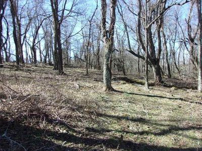 Tbd Spring Valley Rd, Elk Creek, VA, 24326
