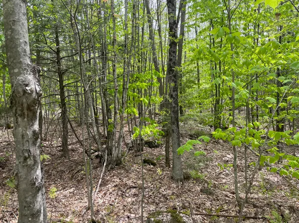 6.1 Scammon Road, Phillips, ME 04966