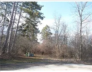 1377 Wolverhampton Ln photo 1