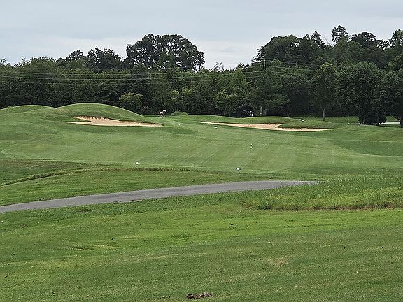 4th image of 148 White Hawk Dr
