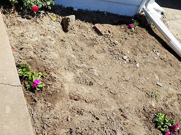 Garden in the front