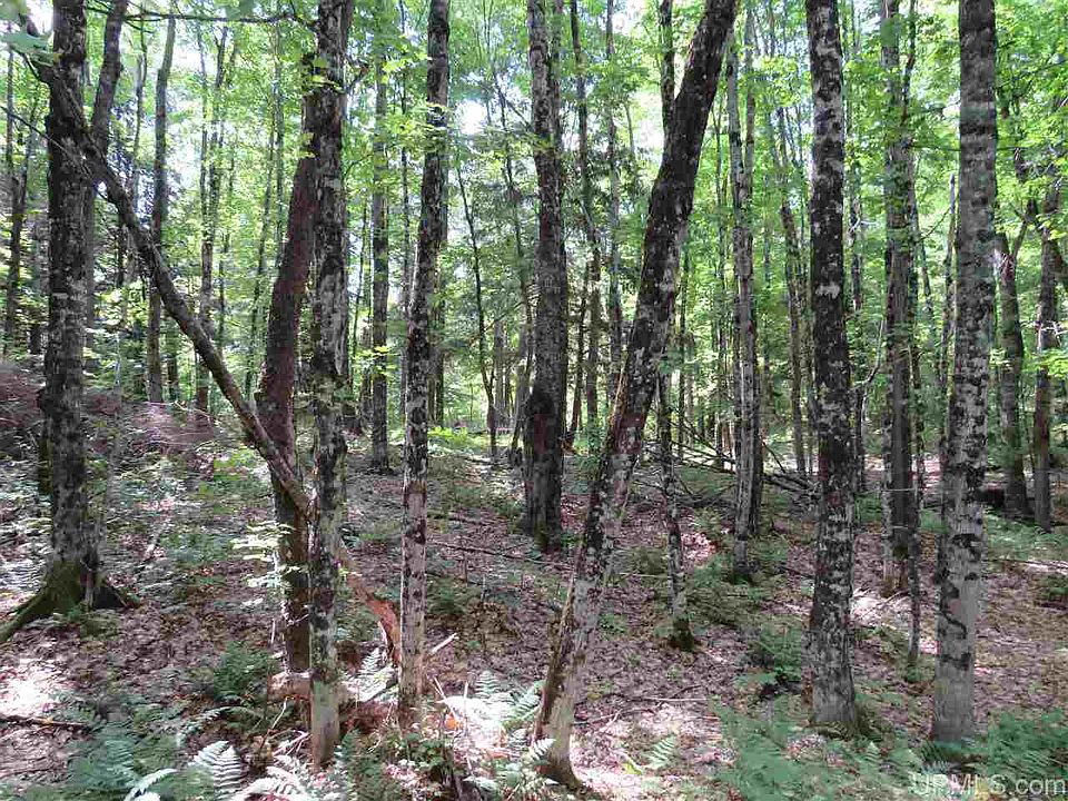 40 Acres Off, Skanee, MI 49962 Zillow