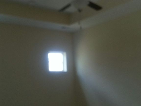 3rd image of 3006 Bienville Dr