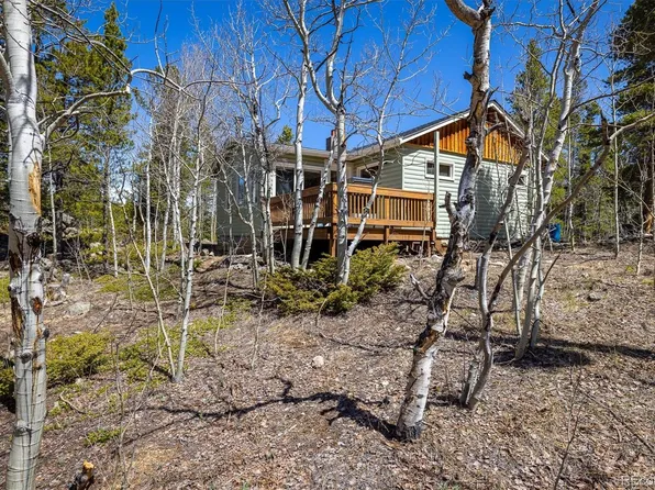 113 Wallens Place, Black Hawk, CO 80422
