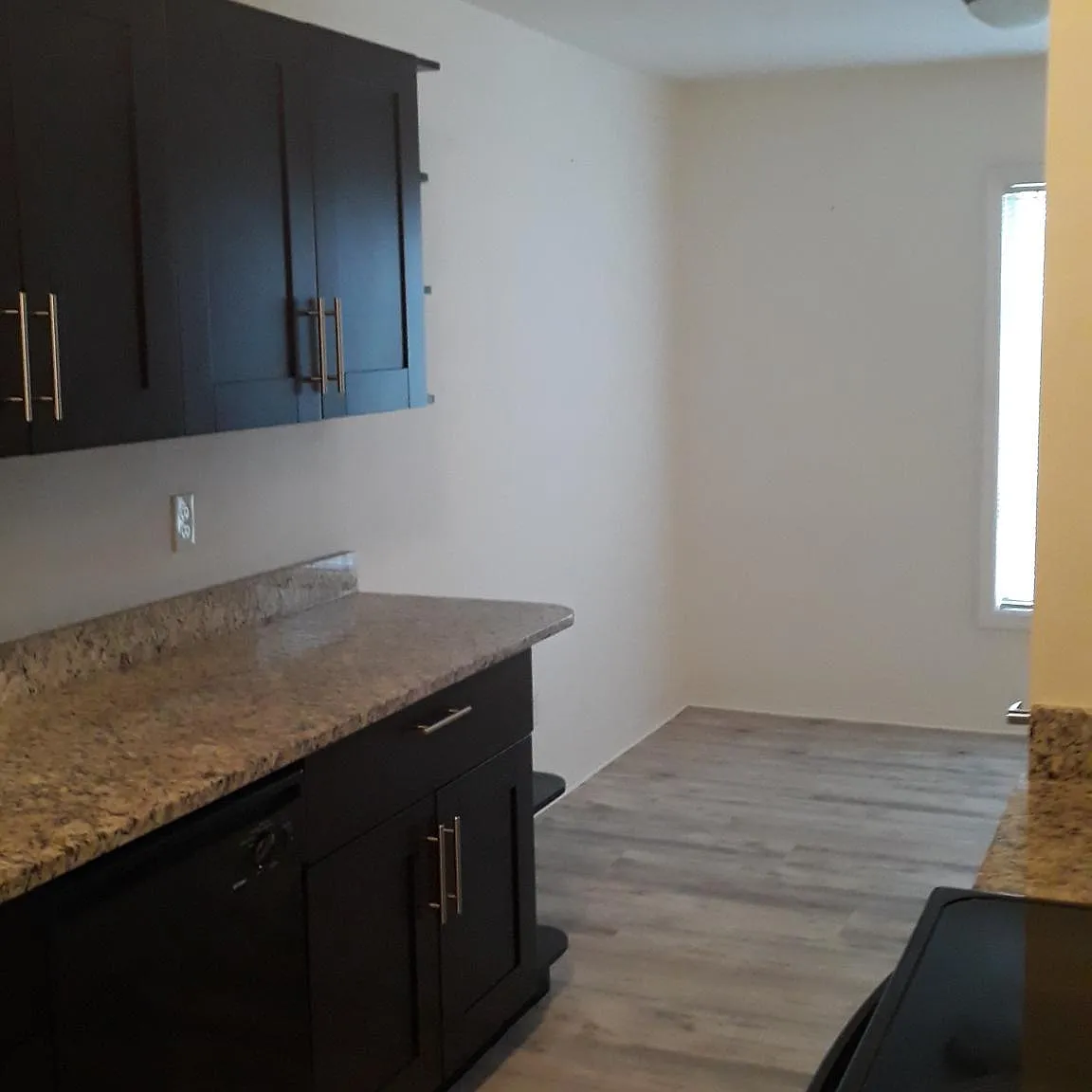 2 bed, 1056 sqft, $1,950 — Photo 2
