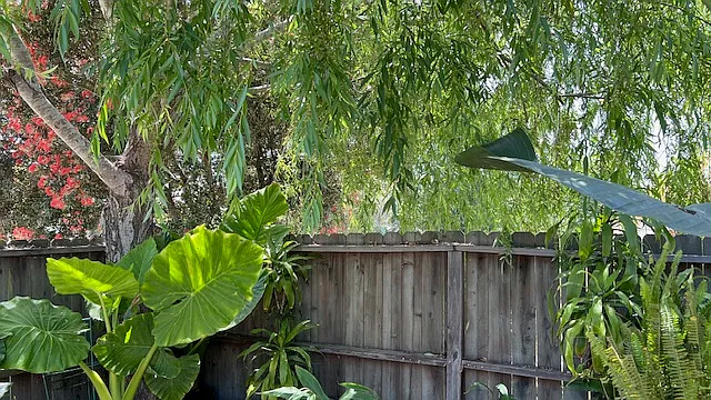 7226 Tuolumne Dr — Photo 8