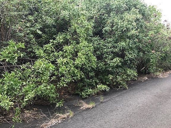 2nd image of Puka St Lot 2