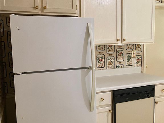 Refrigerator and dishwasher in home