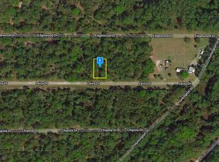 116 Laisy Dr, Georgetown, FL 32139