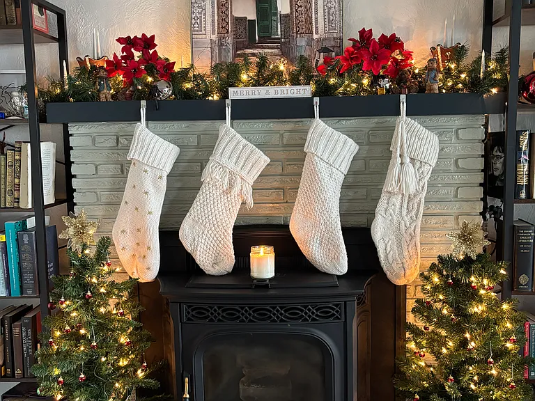 Pellet stove