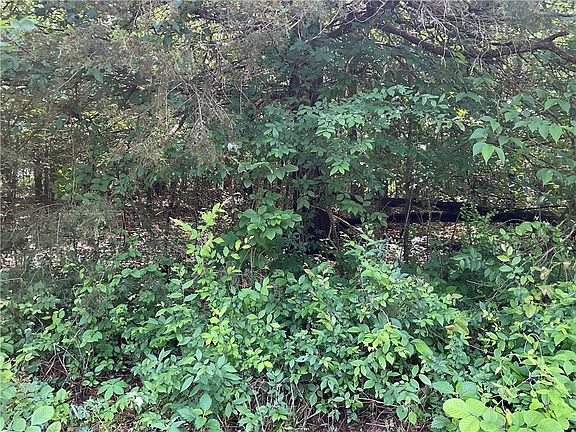 3rd image of Whitfield Ln #59