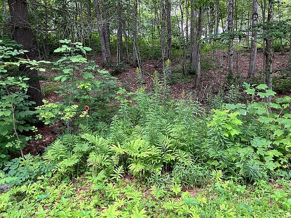 2nd image of LOT 134 Shaw Rd