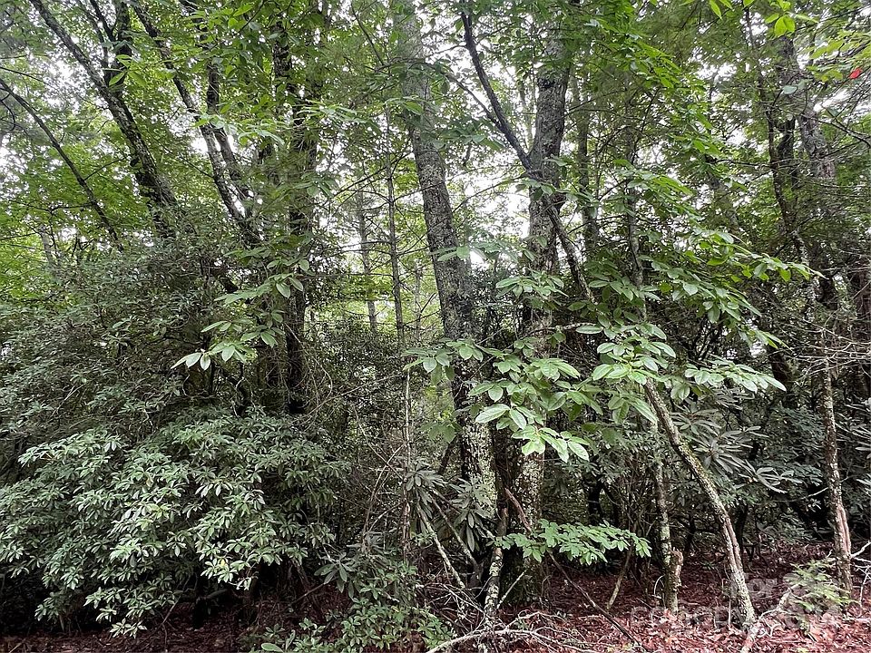 1st image of 0 Wipprecht Dr