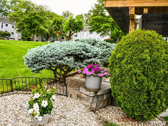 4th image of 1 Avon Dale Road #1