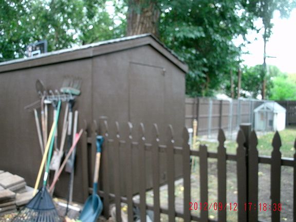 sep. backyd- hg dog run