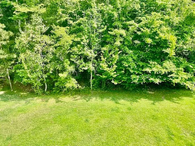 3782 Tupelo Church Ln — Photo 19