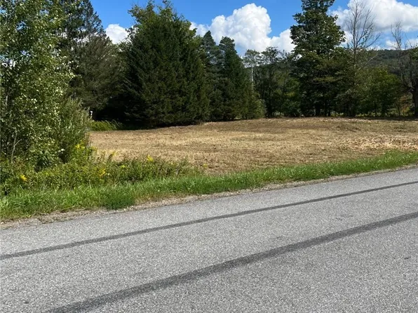 Horn Hill Rd Lot 4, Ellicottville, NY 14731
