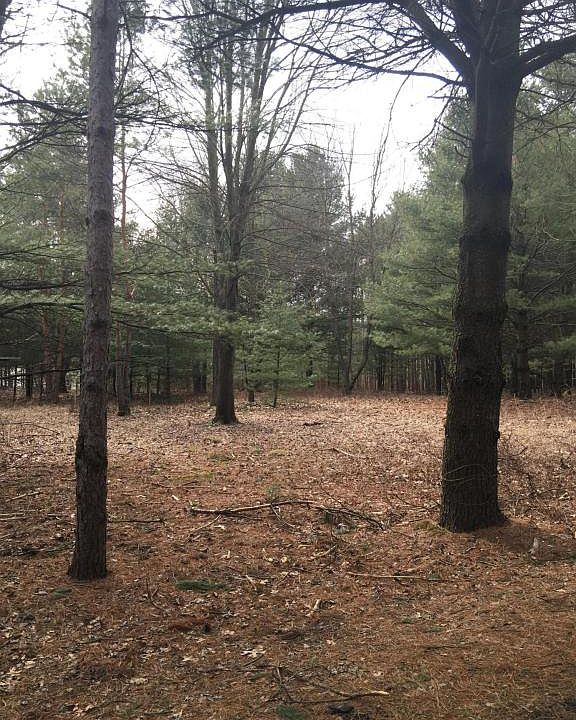 1st image of 8193 Shadybrook Dr SE