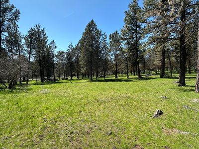 Crossbill Dr LOT 1014, Klamath Falls, OR, 97601