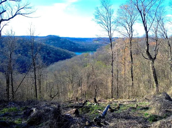 0 Lola Dr, Smithville, TN 37166