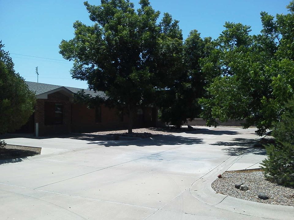 Shade Pecan Trees