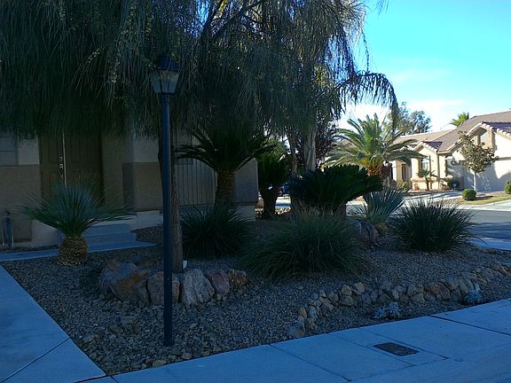 Front yard
