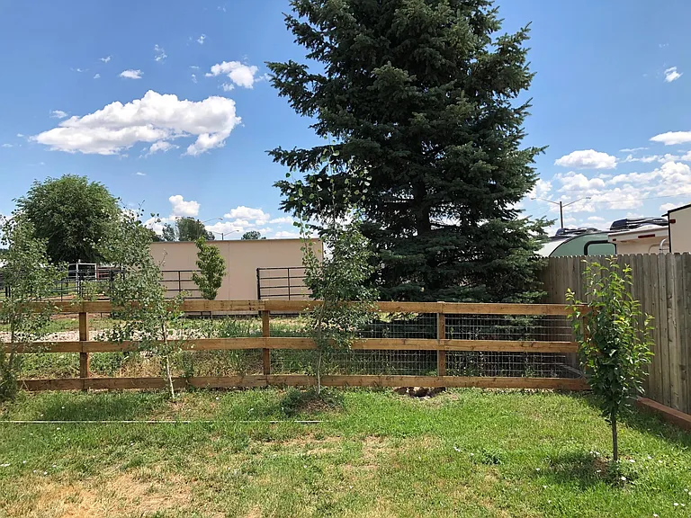 Backyard with new fruit trees including grafted 4 apple types tree, cherry tree, pluerry tree, pluot tree, a bunch of aspen trees, oak tree, and Colorado blue spruce tree.