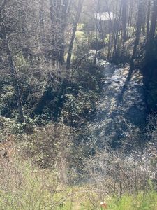 10 Brooks Ln, Weaverville, CA, 96093