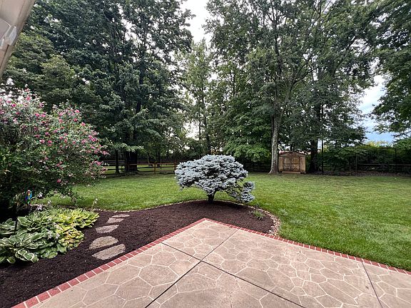 Backyard with patio and shed