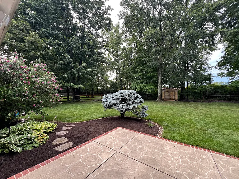 Backyard with patio and shed