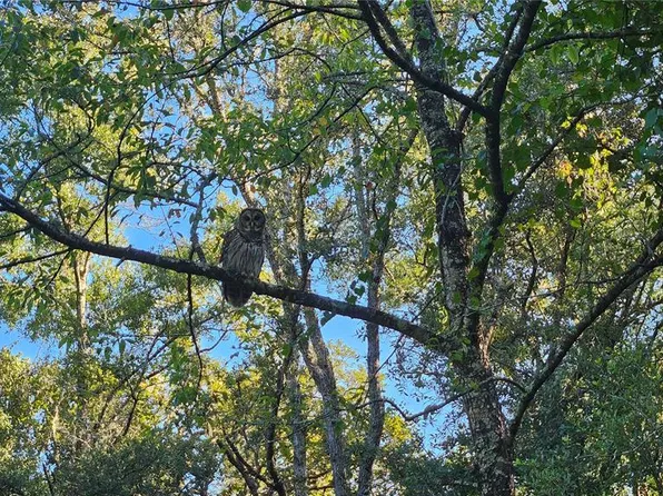 7500 Cobb Ln #8, Pensacola, FL 32534