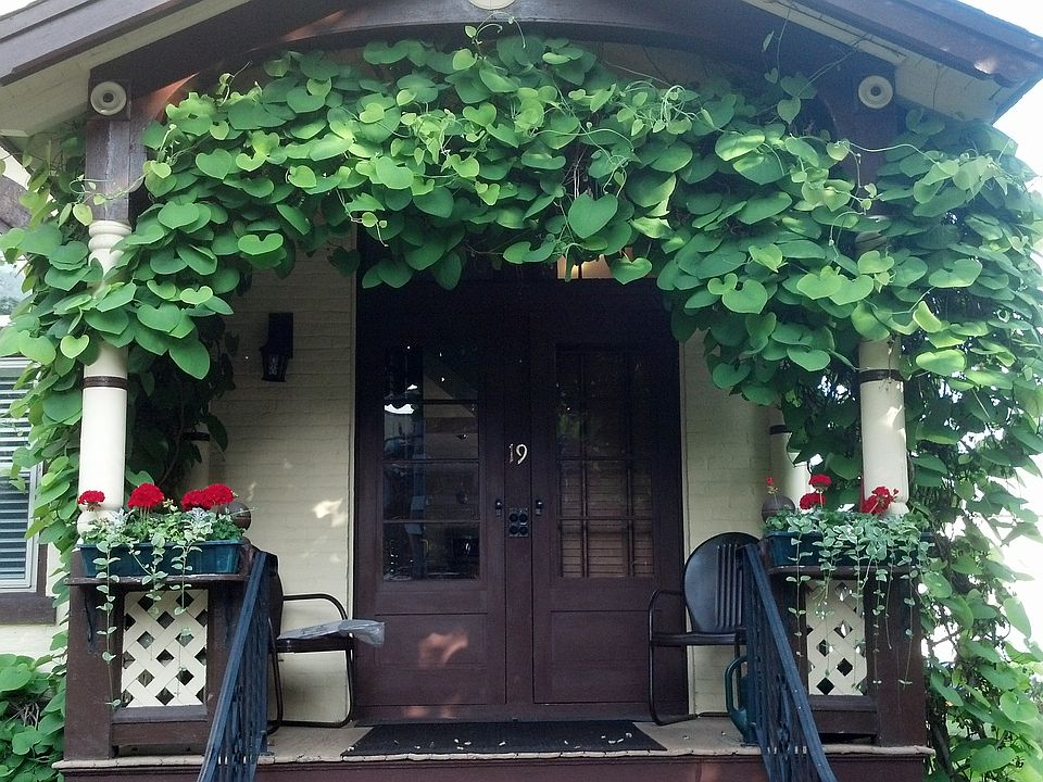 1st image of 19 Clinton St #2FR