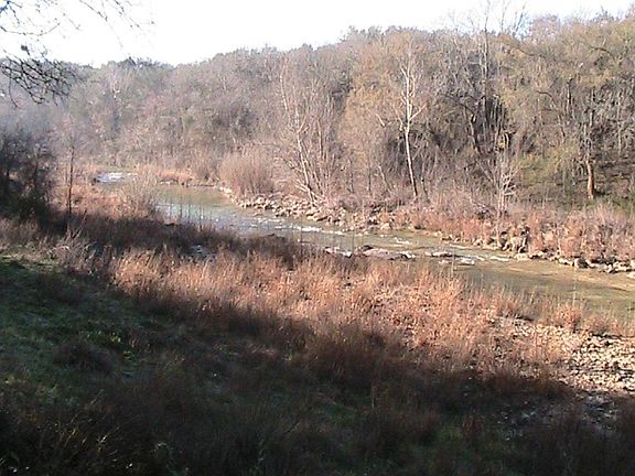 Blanco River in back yard