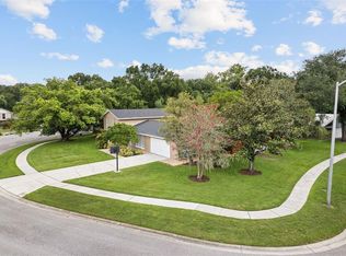 3101 Old Spring Pl, Tampa, FL 33618