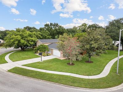 3101 Old Spring Pl, Tampa, FL, 33618