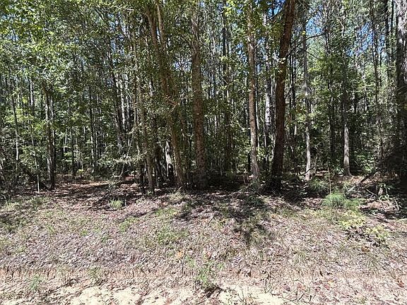 3rd image of 1603 County Road 39