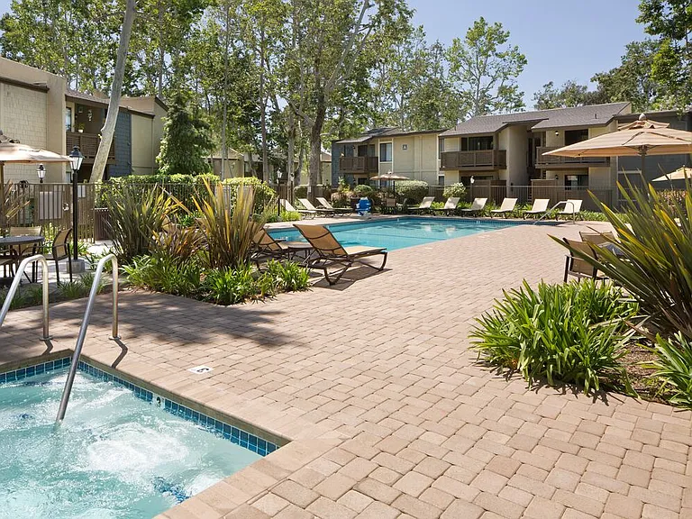 Swimming pool and spa
