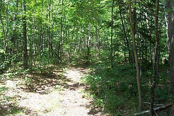 Nicely wooded property. Not far to the lake from here.