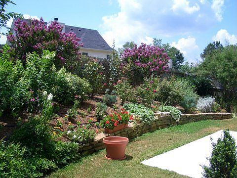 Professionally landscaped garden