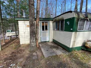 9688 S Briar Ave, Baldwin, MI 49304
