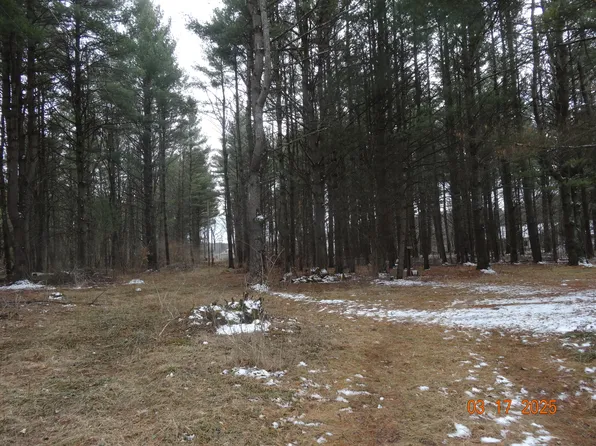 5525 S Croton Hardy Dr, Newaygo, MI 49337