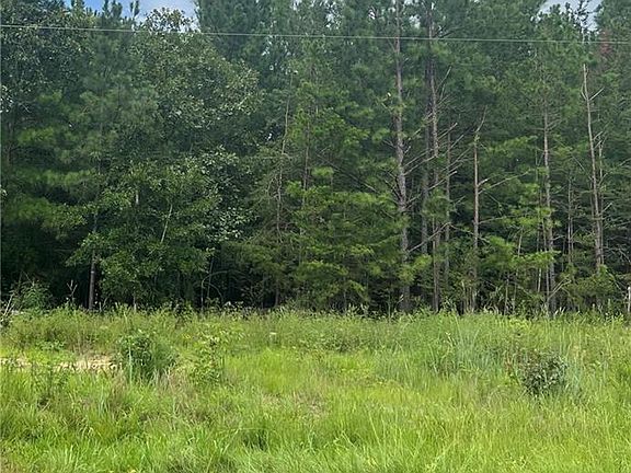 4th image of 0 N State Highway 49 Lot 2